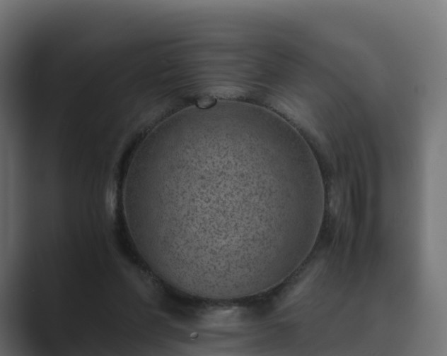 X0000089710206200706281518