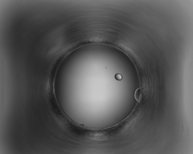 X0000089710208200706281518