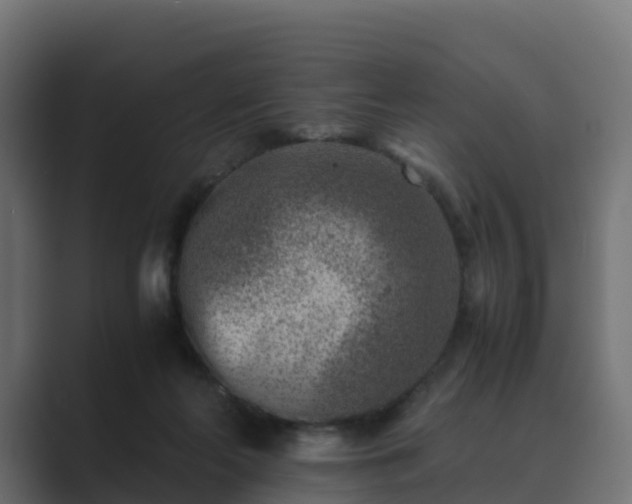 X0000089710214200706281518