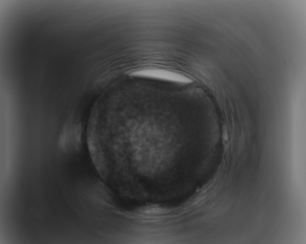 X0000089710219200706281518