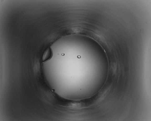 X0000089710220200706281518