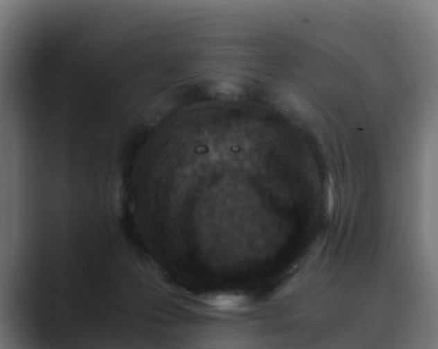 X0000089710223200706281518