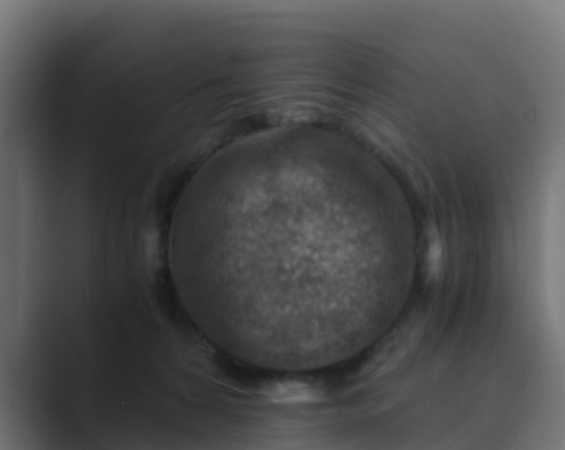 X0000089710224200706281518