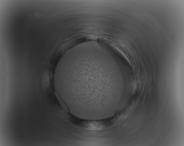 X0000089710229200706281518