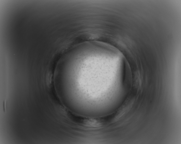 X0000089710230200706281518