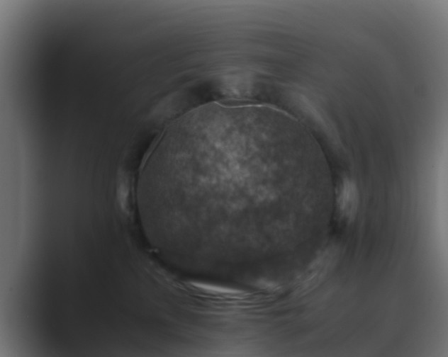 X0000089710233200706281518