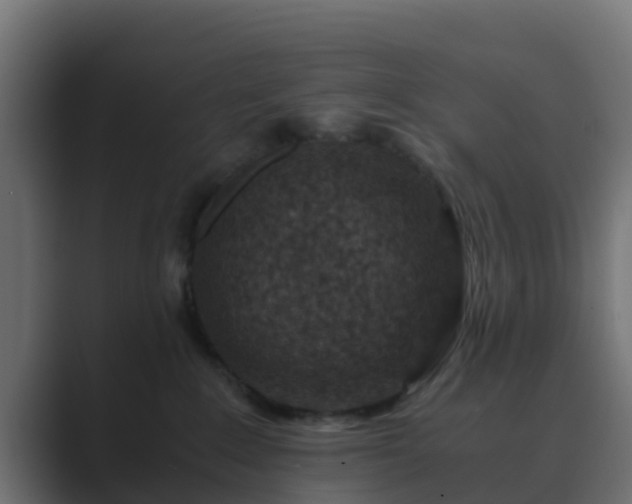 X0000089710235200706281518