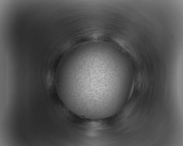 X0000089710236200706281518