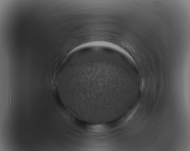 X0000089710237200706281518