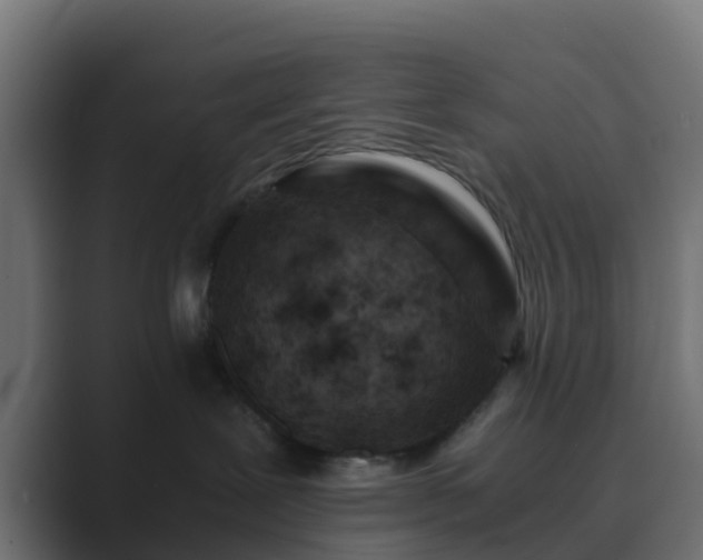 X0000089710239200706281518