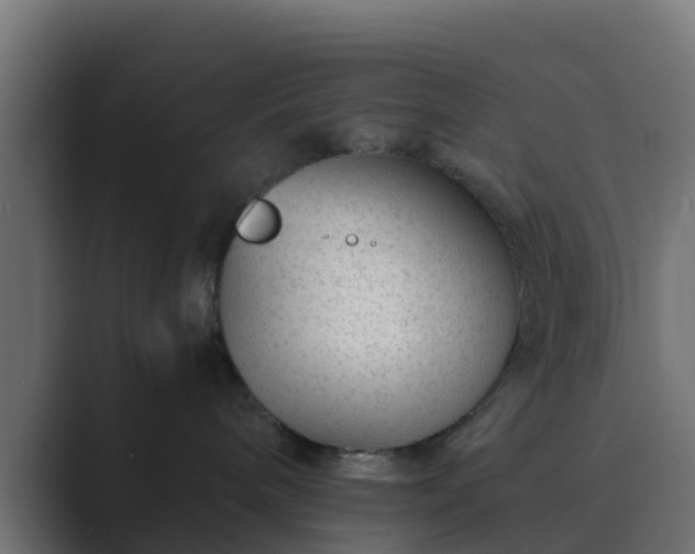 X0000089710240200706281518