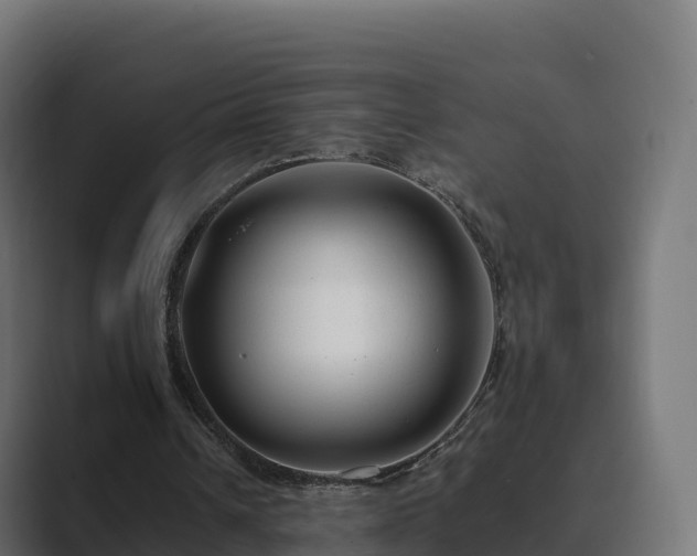 X0000089710242200706281517