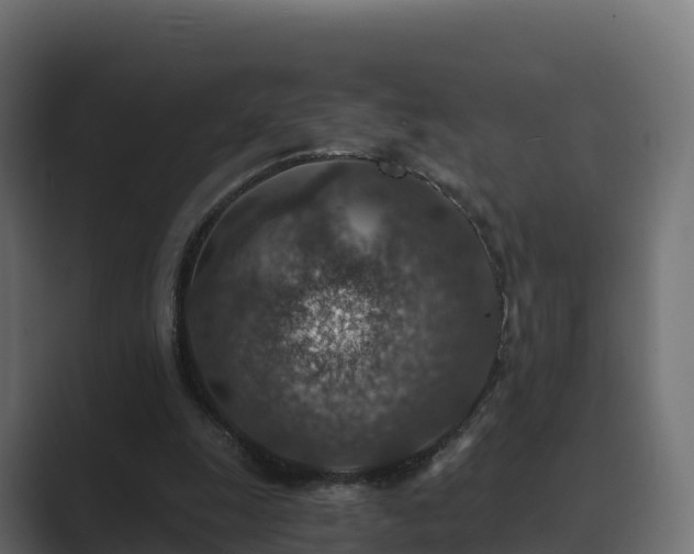 X0000089710247200706281517