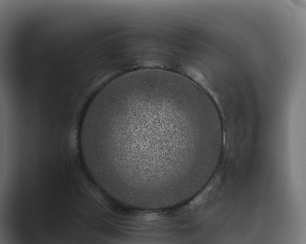 X0000089710249200706281517