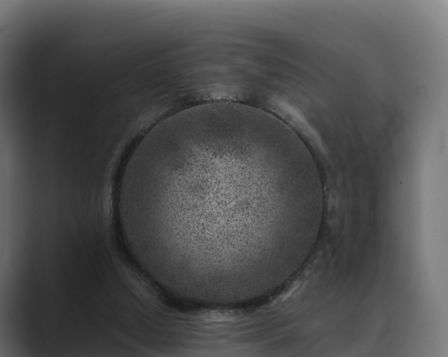 X0000089710250200706281517