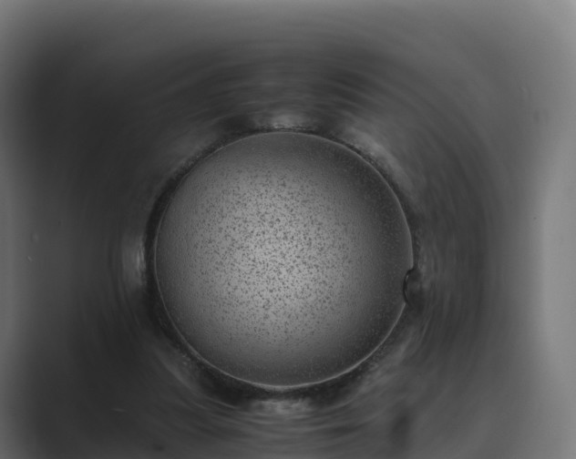 X0000089710251200706281517