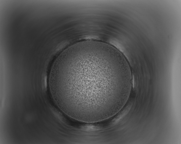 X0000089710253200706281517