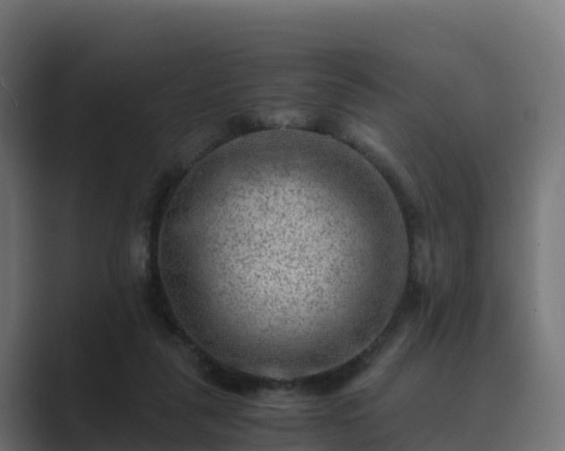 X0000089710259200706281517