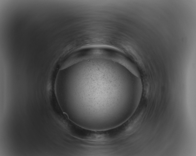 X0000089710260200706281517