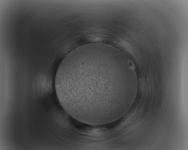 X0000089710267200706281517