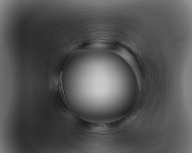 X0000089710288200706281518