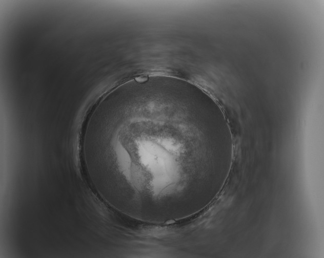 X0000089710293200706281517