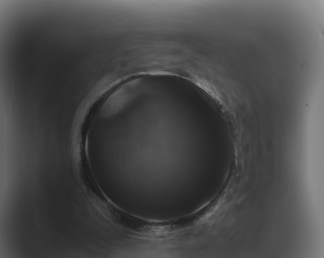 X0000089710295200706281517