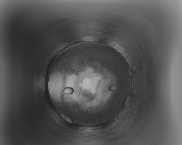 X0000089710297200706281517