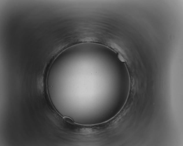 X0000089710298200706281517