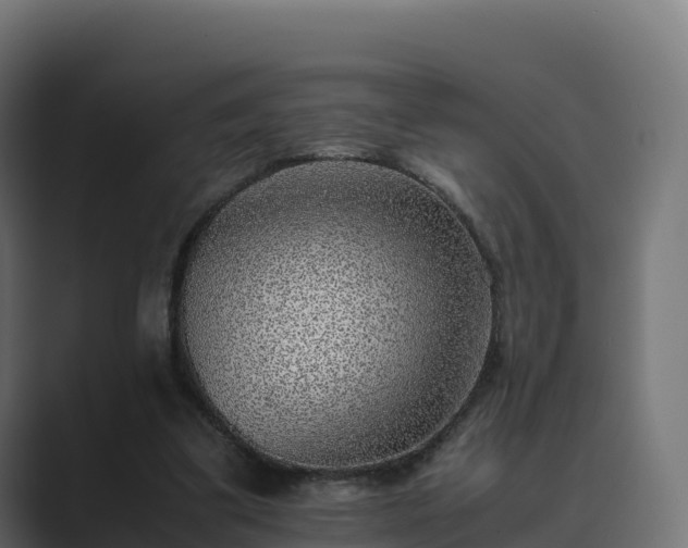 X0000089710299200706281517