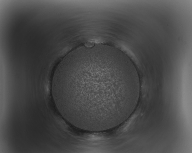 X0000089710305200706281517