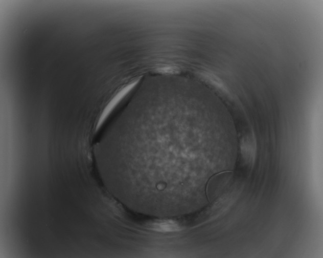 X0000089710322200706281517