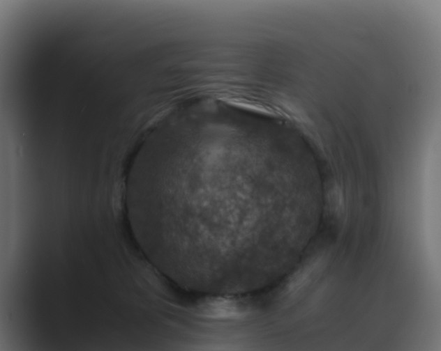 X0000089710325200706281517