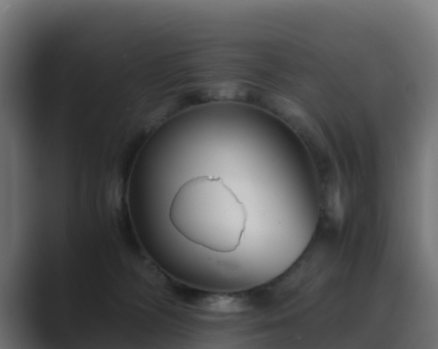 X0000089710326200706281517