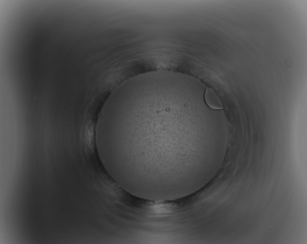 X0000089710336200706281517