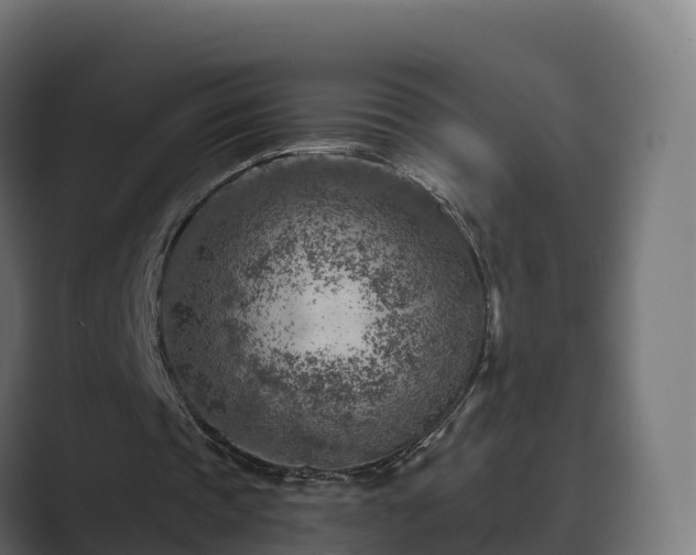 X0000089710337200706281516