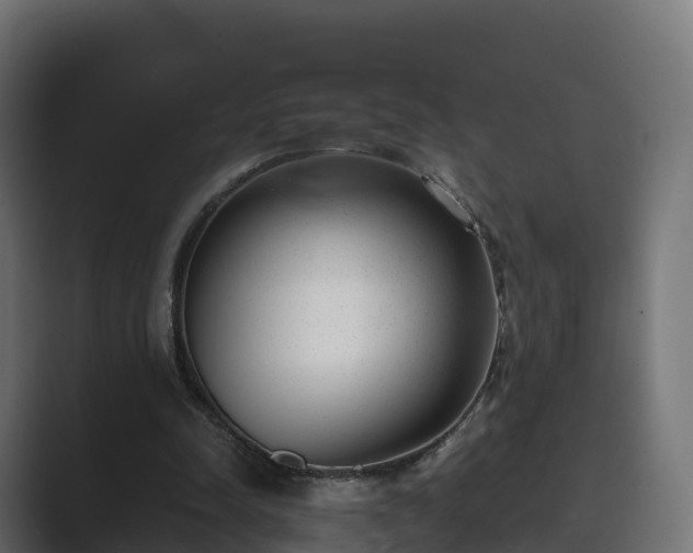 X0000089710342200706281516