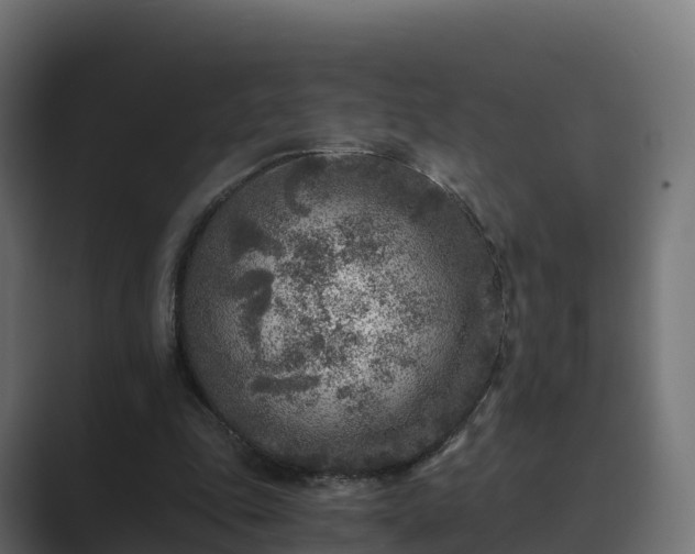 X0000089710343200706281516