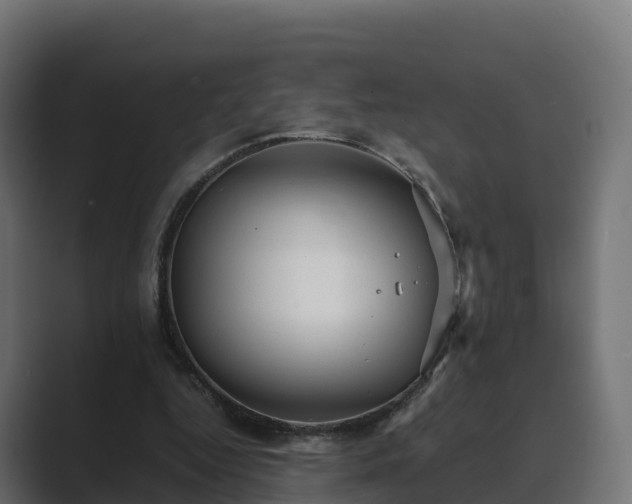 X0000089710344200706281516