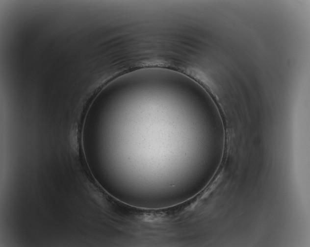 X0000089710345200706281516