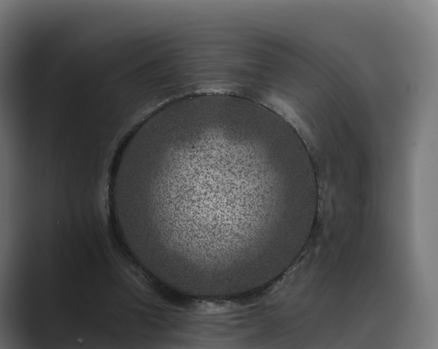 X0000089710346200706281516