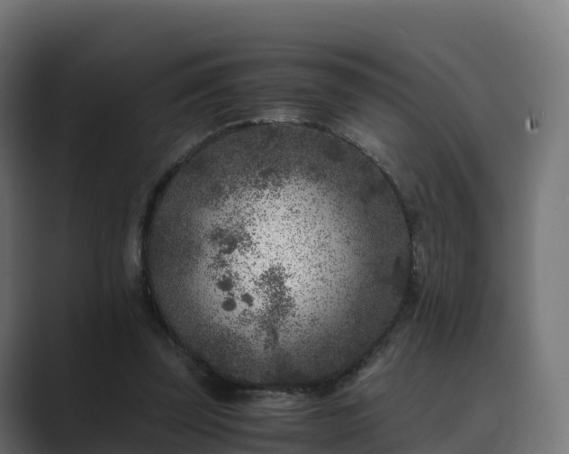 X0000089710347200706281516