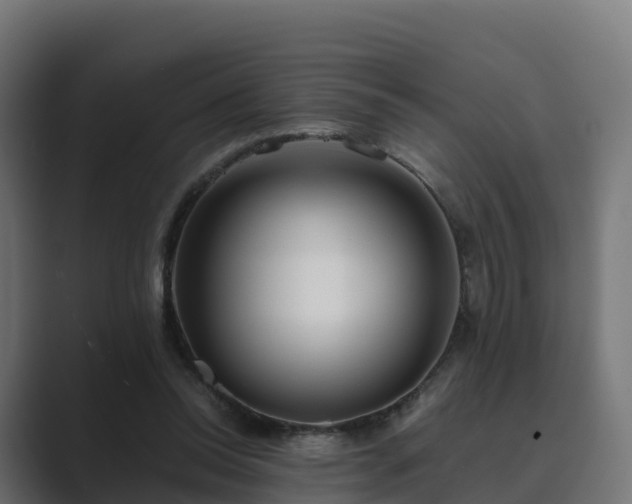 X0000089710350200706281516