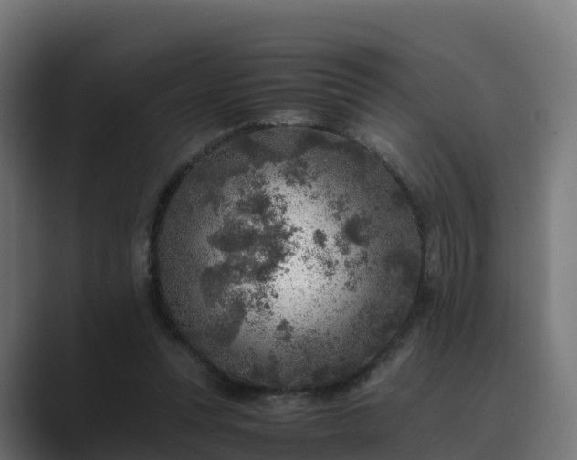 X0000089710351200706281516