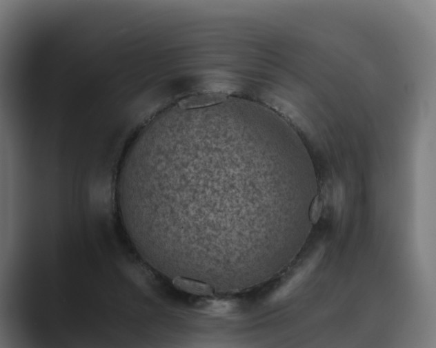 X0000089710352200706281516