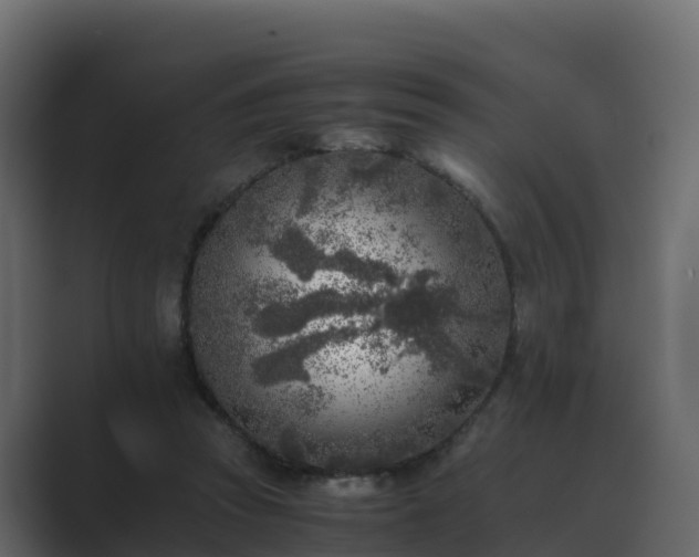 X0000089710353200706281516