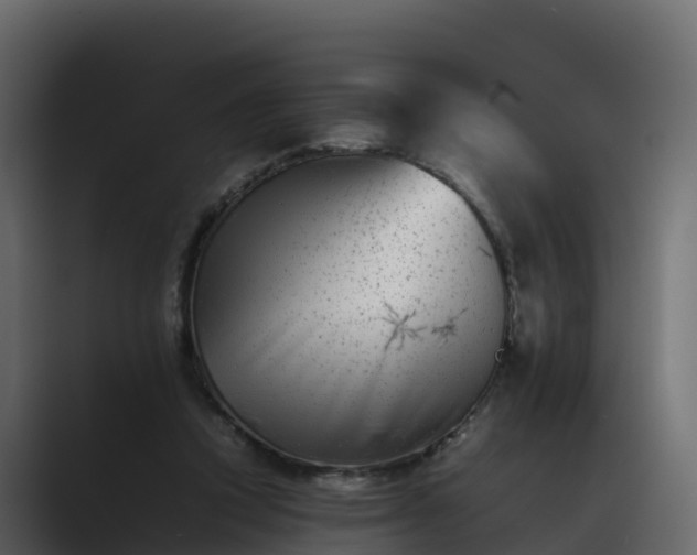 X0000089710354200706281516