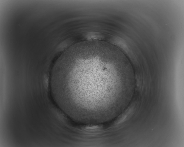 X0000089710357200706281516