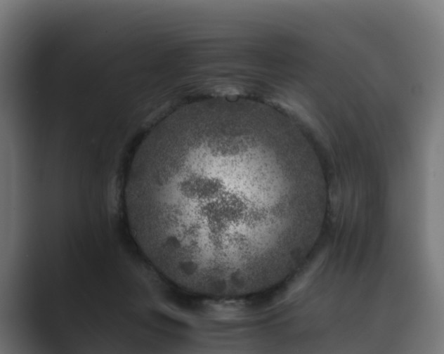 X0000089710359200706281516