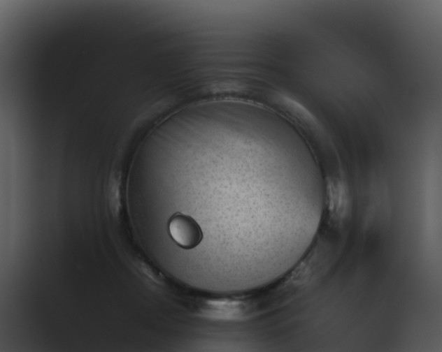 X0000089710362200706281516